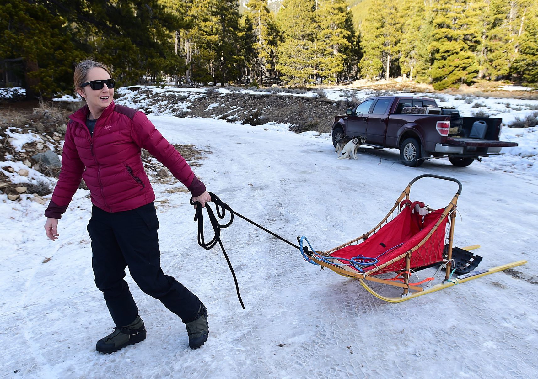 Jen Mignard and sled dogs